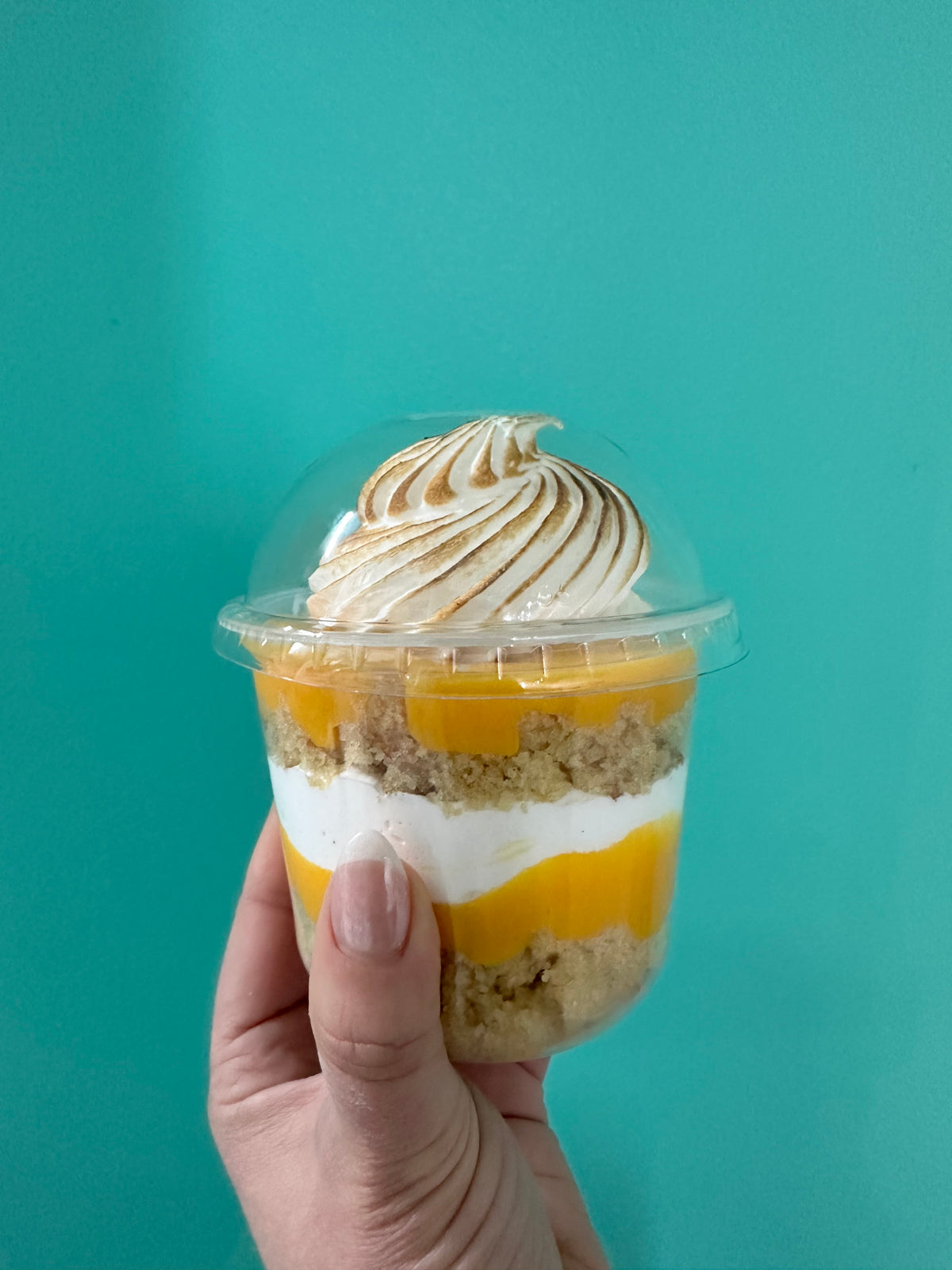 Cake Jars - Online Pre Order