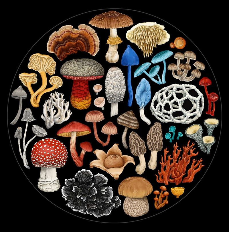 Wolfkamp & Stone - Fungi - 1000 Pce Round Puzzle