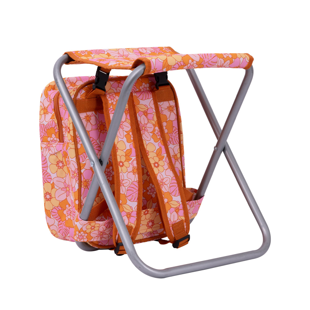 Picnic Cooler Chair