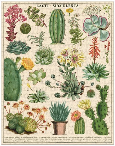 Cavallini & Co - Cacti & Succulent 1000 Pce - Vintage Puzzle